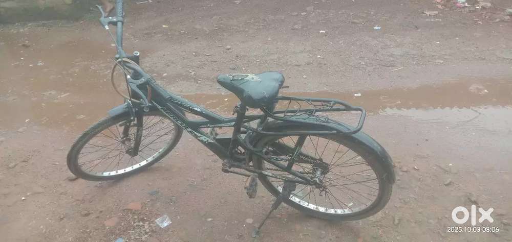 Fresh condition
