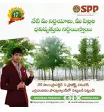 1/4 acer agriculture land with Red sandal wood plants for sale