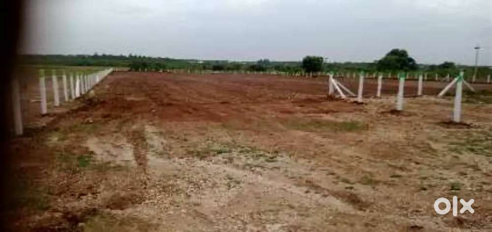 Residential plot Sale