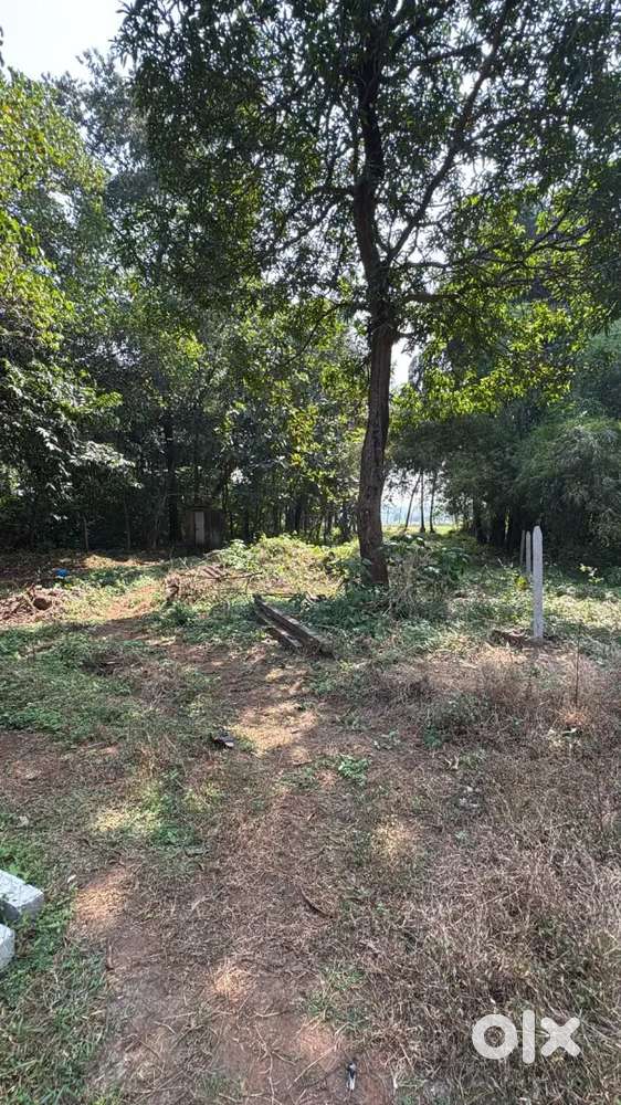 Available settlement plot at Dhargal close to NH66 price 3.40cr