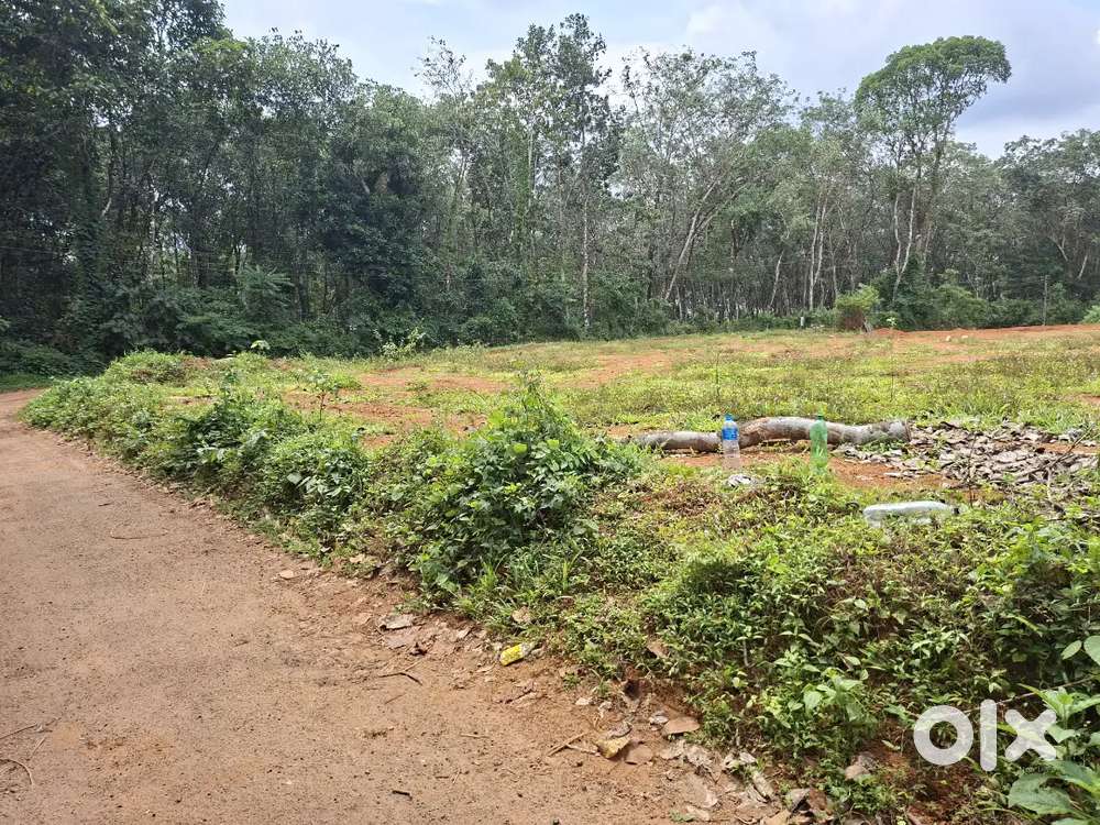 തുമ്പമൺ സമീപം 10 സെന്റ്