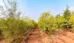 Farm Land Plots for Sale – Perfect for Weekend Homes