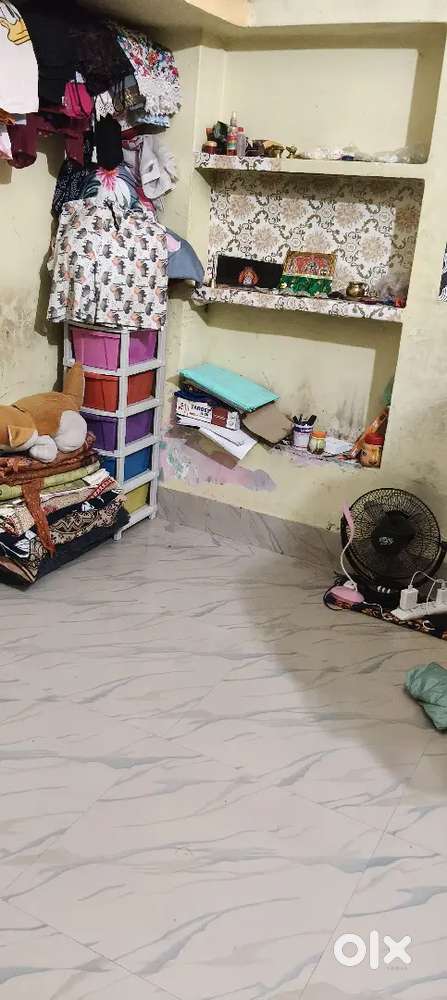 Need a bachelor girl