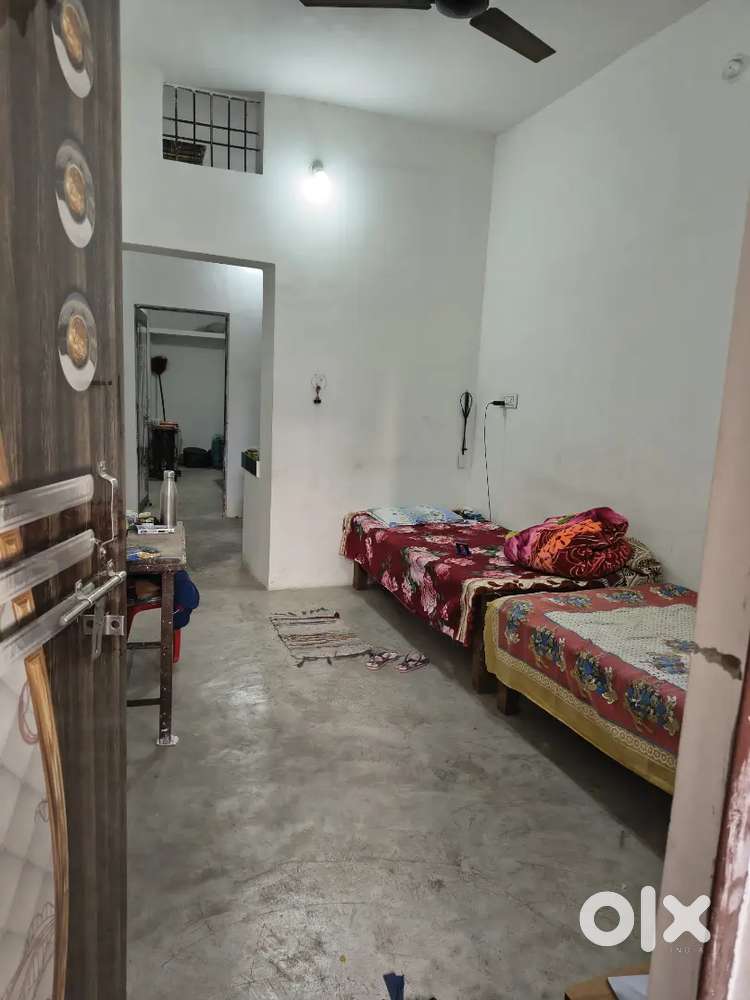 1 girl roommate required