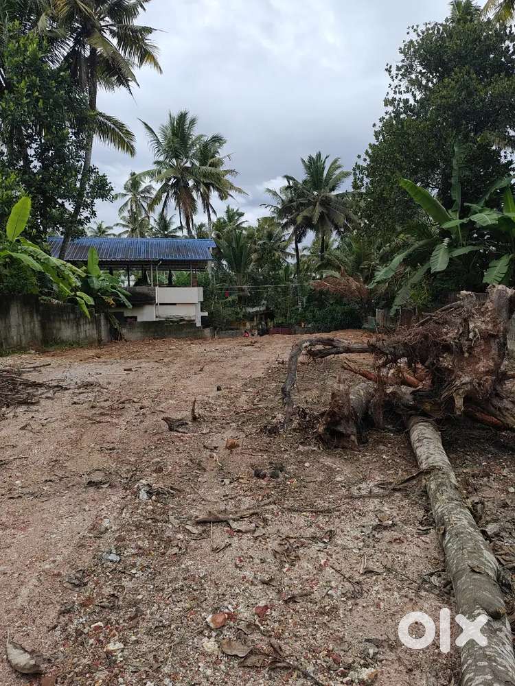 18 cent Land for sale near punchakari shaap