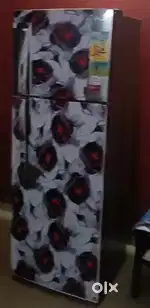 LG 308L fridge