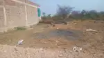 Podar schooll backside plot for urgently