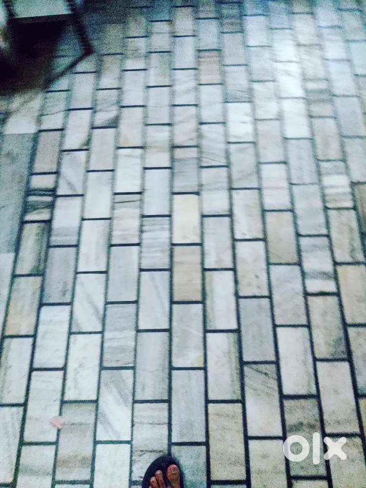 Rent room setiya colony ganganagar family and girls