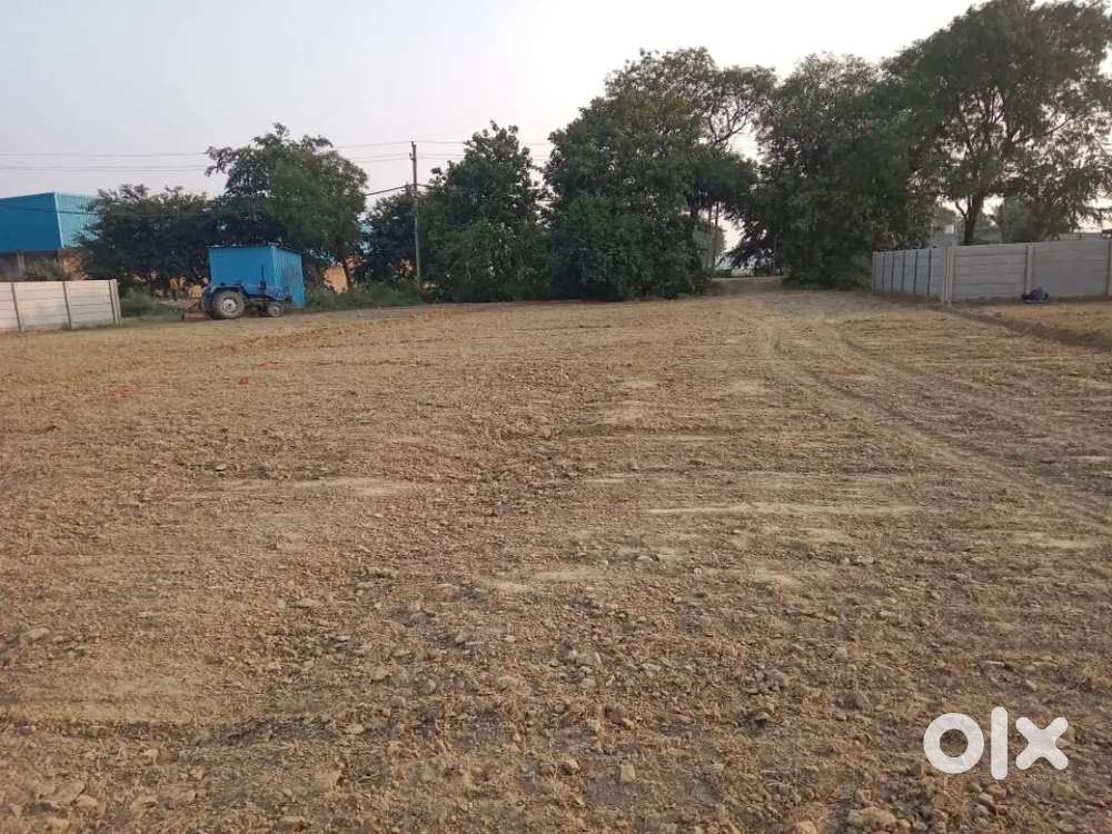 Plot hi plot  banay apne sapno ka ghar  basavat ka bicho bicha