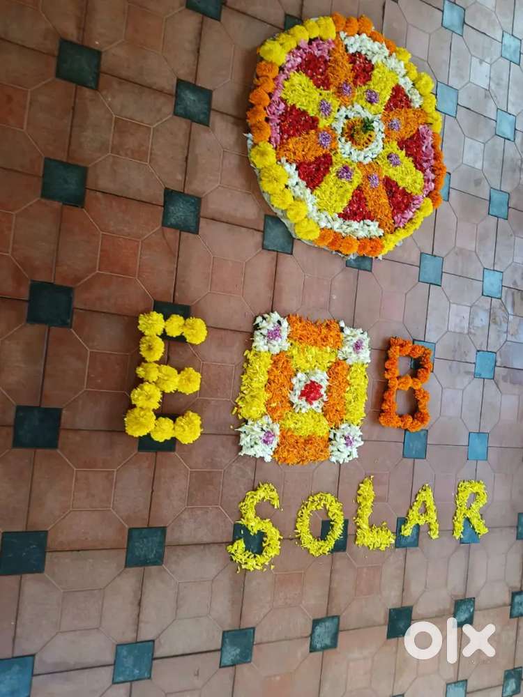 Admin cum Coordinator