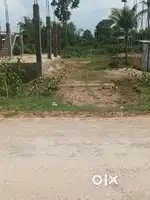 Urgent sale of 02 Gonda bastu land at Algapur Road Dharmanagar