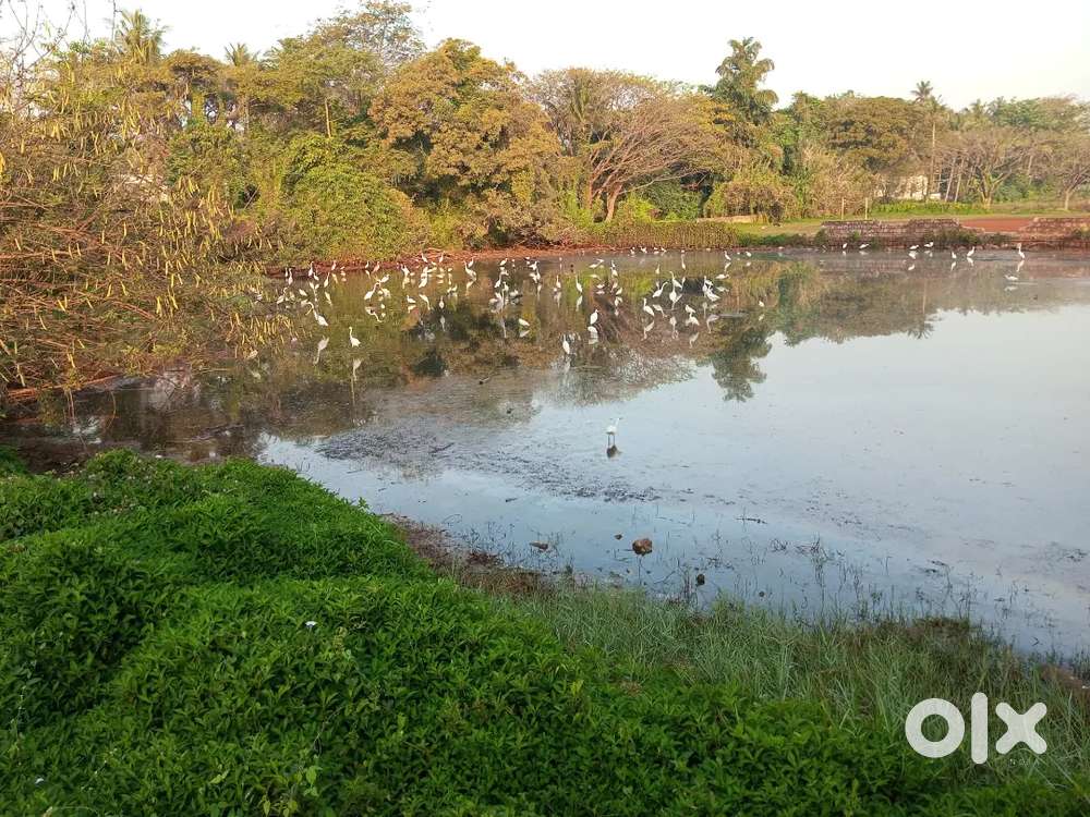 എനിക്ക് കണ്ണൂരിൽ നൈറ്റ് shift job വേണം