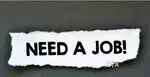 I need job urgently