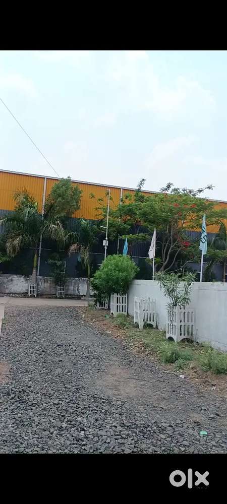 Best for investment and residential plot bangrasiya main rod Project