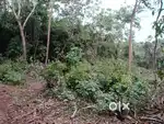 Land sell  in korgi