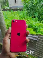 iPhone__se