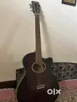 Guitar and Harmonium