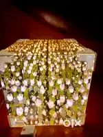 Tupil cube mirror lamp