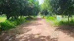 MARAIMALAI NAGAR - DTCP APPROVED PLOT SALE