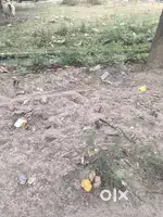 150 गज प्लॉट बिक्री हेतु, निकट चैतिया फार्म, शाहपुर, मुरादाबाद