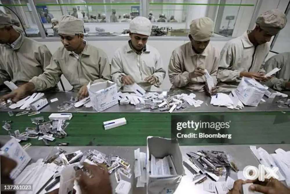 MEDICINE PACKING में (Boys और Girls) की पैकिंग के लिए जरूरत है !!
