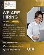 BDM/Sales Manager