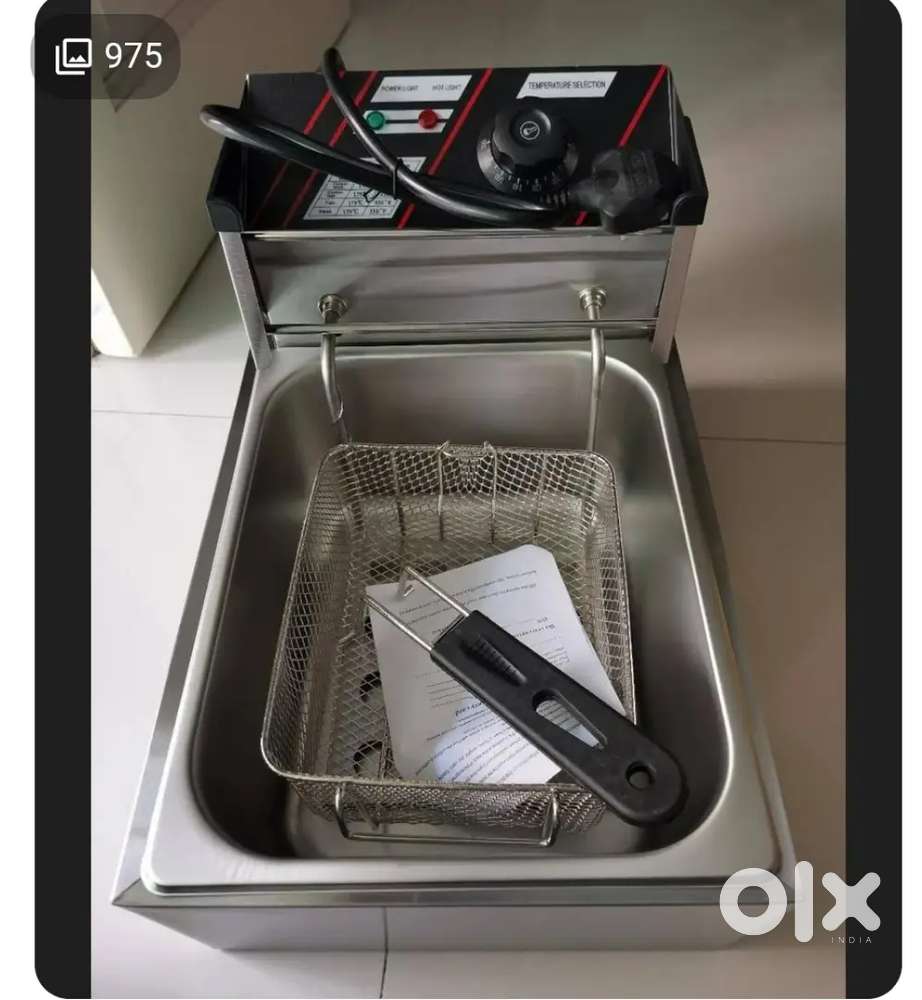Fryer electric