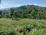 Resort style farm land.