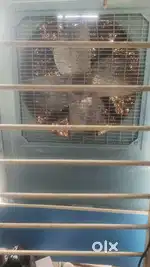 Exaust fan cooler