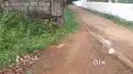 ചക്കുവള്ളി മലനട റൂട്ടിൽ പുളിന്തിട്ട jn സമീപം50 സെൻ്റ്  വിൽപ്പനയ്ക്ക്