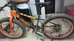 Fat tyre cycle 24 gear