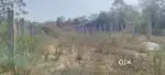 *1.5 acre land for sale in Belur*