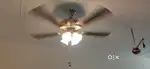 2 usha mappal fan