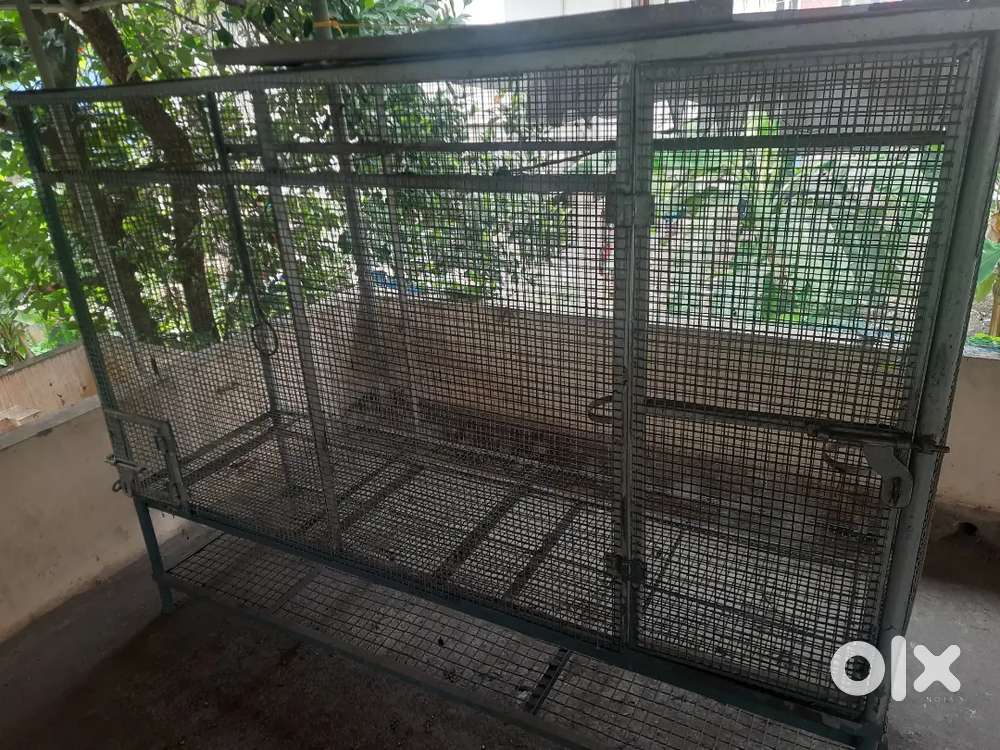 Bird cage Silver [55×77×23in]