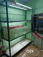 Rack for sale