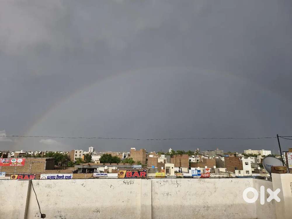 Required male or female rommate