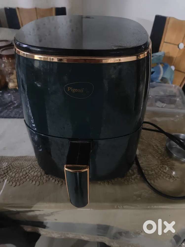 Air Fryer Pigeon