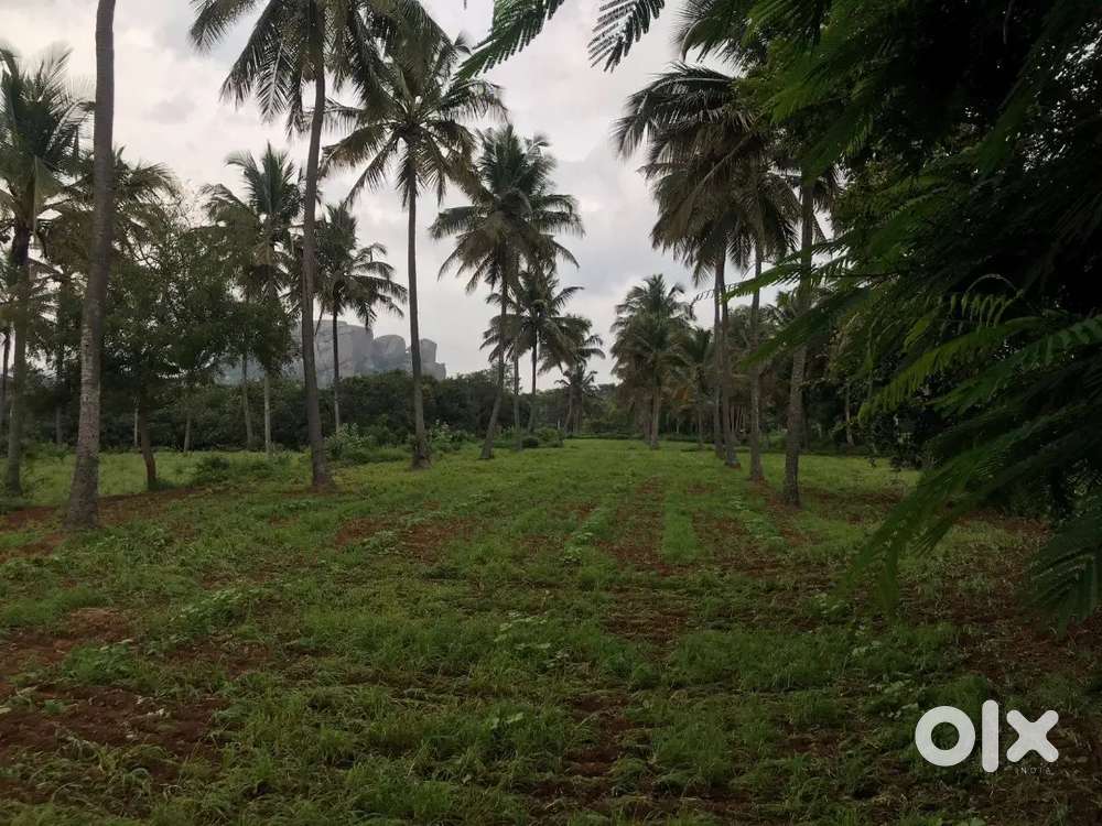 3 acre farm land for sale