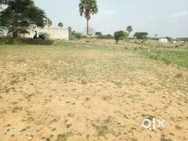 Land at dollar town main road