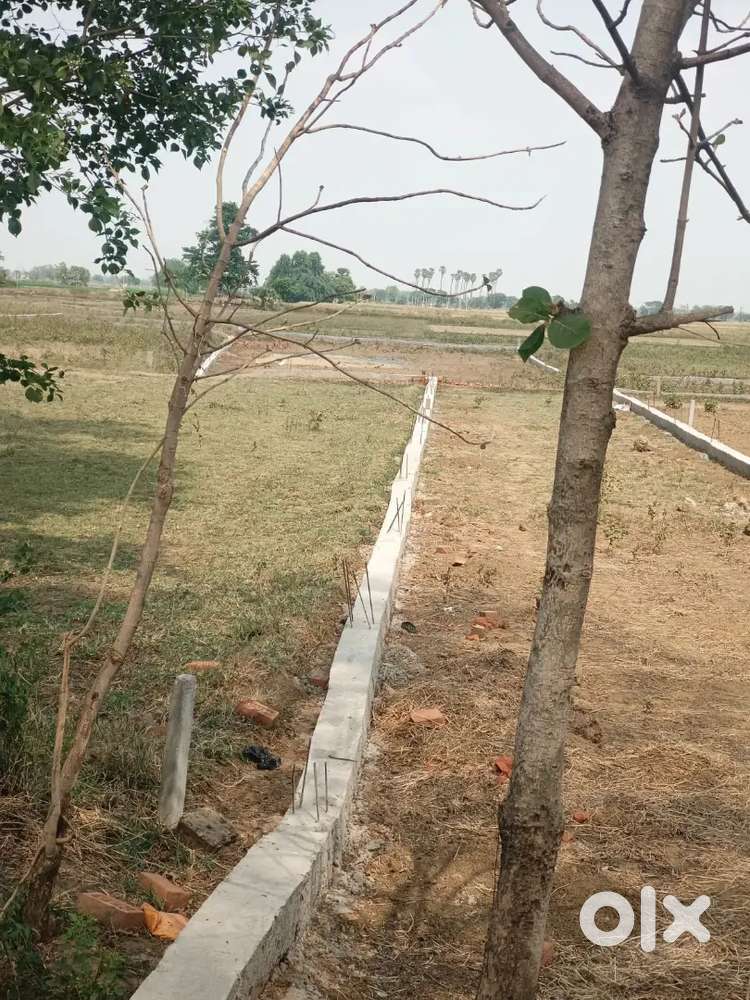 Plots for sale in Sarasat plot - bihta sarmera