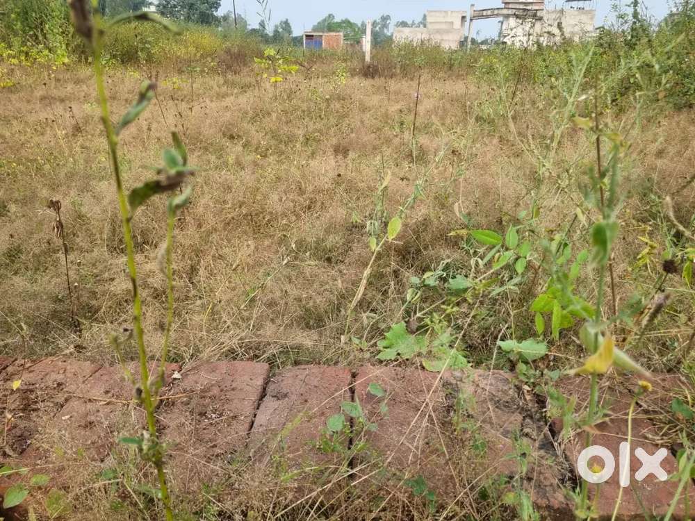 Plot for sale