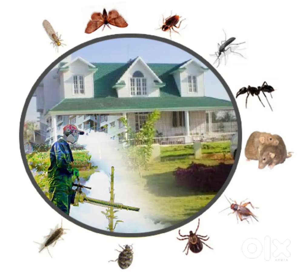 PEST CONTROL SERVICES TERMITE AND COCKROACH SERVICE WITH LOWPRICE