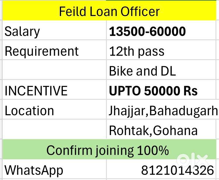 Bank Feild Loan officer