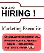 Marketing Executive