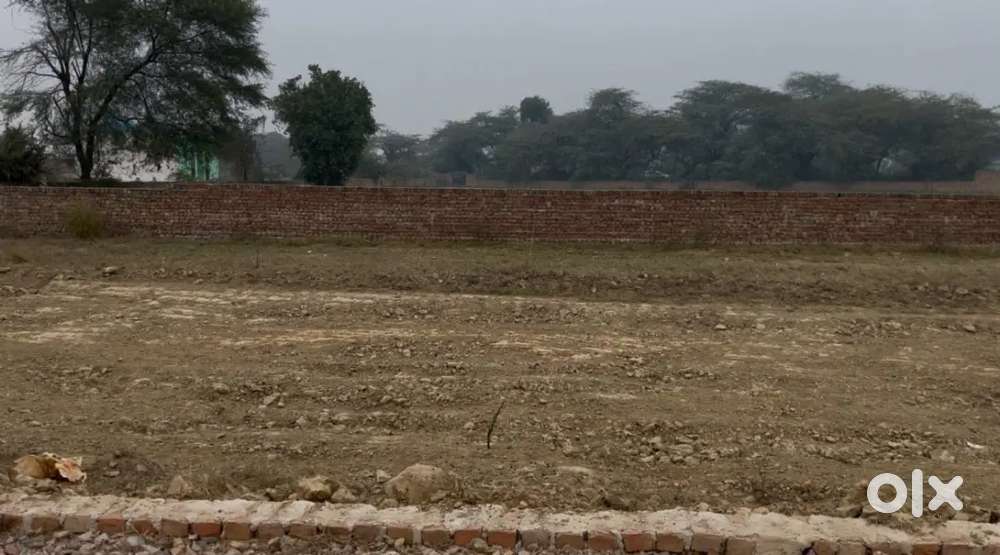 Urgent Sale  Plot in barsana  Main Road  Prime Location