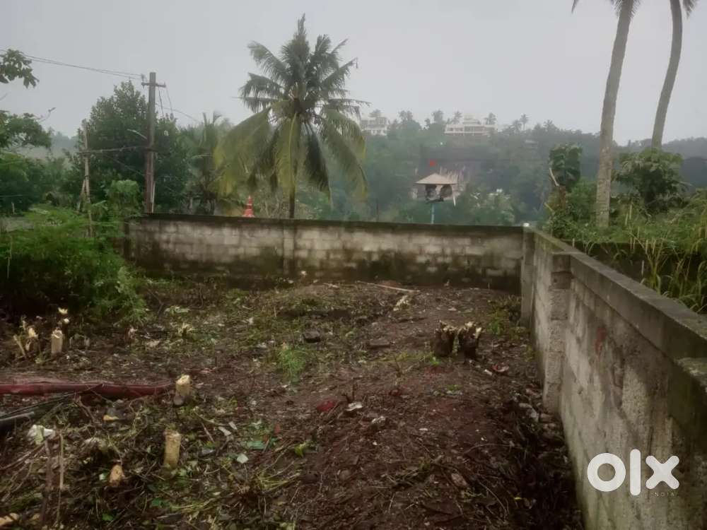 6 cents plot for sale at Muckolackal.