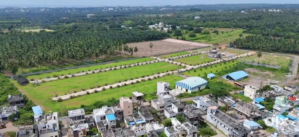 Ready to construction site for in Morampudi