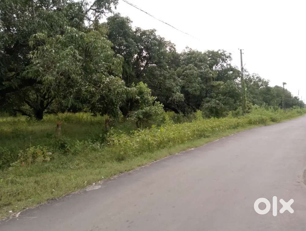 Agriculture lend kalam vadi