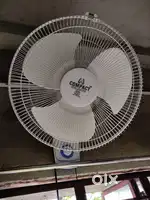 Wall fan by compact