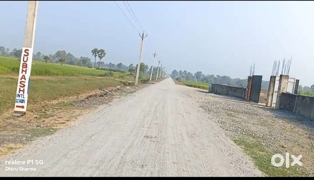 Aall pepar registry and motivation okay